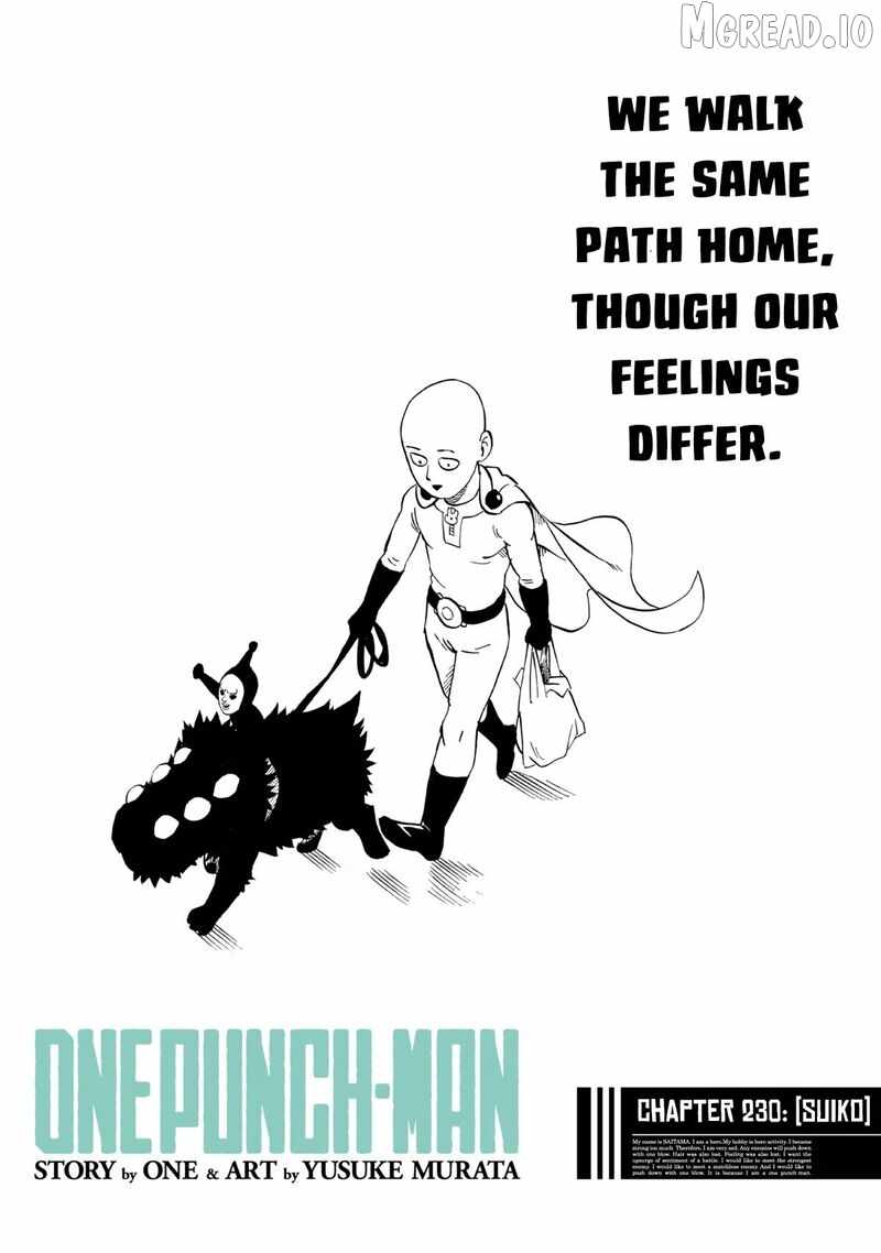 One Punch Man - Chapter 230 image 01